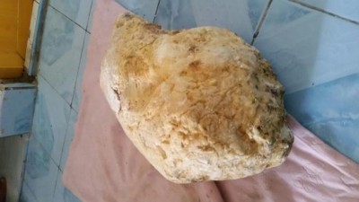 ކުޅުދުއްފުށީ "މޫސުމް3" ދޯނިން ހޮވި 20 ކިލޯގެ އެއްޗަކީ މާވަހަރެއް!