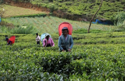 އީރާނުން އެތެރެކުރި ތެލުގެ ބަދަލުގައި ލަންކާ އިން ސައިފަތް ދެނީ