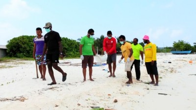 ގިނަ އަދަދެއްގެ ފަރުމަސް މަރުވެ، ށ. މިލަންދޫ އަށް ލައްގަން ފަށައިފި
