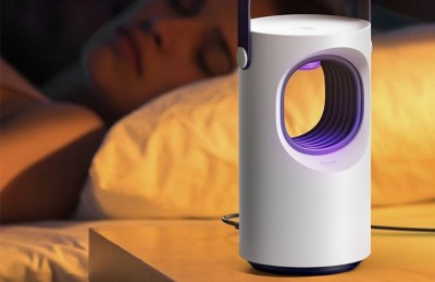 މަދިރި މަރާ ކޮއްޓެއް؛ ވަހެއް ވެސް ނުދުވާނެ