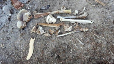 ގުރައިދޫން ފެނުނު މިނިކަށިތަކުގެ ތަހުގީގު އަދި ނުނިމޭ: ފުލުހުން