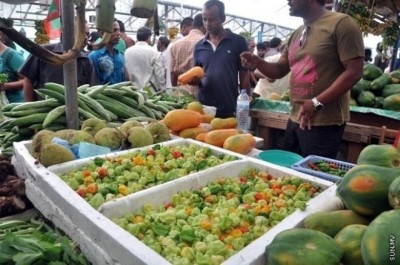 ރޯދަމަހަށް ހާއްސަކޮށްގެން ކާބޯތަކެތީގެ ނައިޓް މާކެޓެއް ބާއްވަނީ