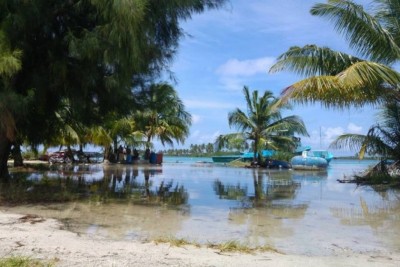 އުދައެރުމުގެ ބިރުވެރިކަން ކުޑަވެއްޖެ