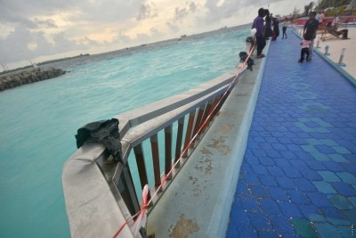ސުނާމީބިނާ މައިޒާނުގައި ޖެއްސި ދޯނީގެ ކެޕްޓަން ކޯޓުން ދޫކޮށްލައިފި