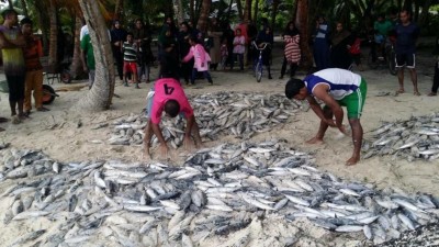 އެންމެން ބުރުންޏަށް މަސްހިފަން ދަމާ، ރަށު މީހެކޭ ތަފާތެއް ނުކުރޭ!