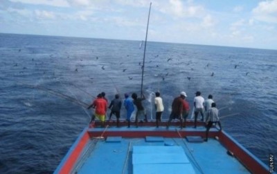 މަސްވެރިންނަށް ހިތްވަރު ދިނުމަށް، މިފްކޯ އިން މަސް ގަންނަ އަގު ބޮޑުކޮށްފި