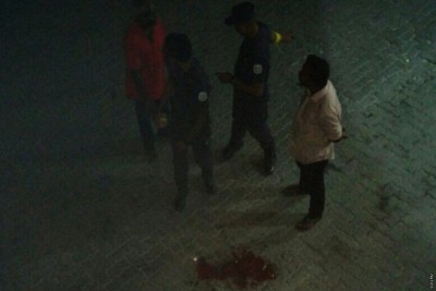 ދެވަނަ ކުއްޖަކަށް ވެސް ތޫނު އެއްޗަކުން ހަމަލާދީ މަރާލައިފި