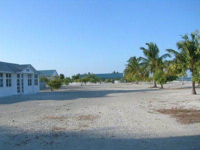 ދަރިފުޅަށް އަނިޔާކުރި ކަމުގެ ތުހުމަތުގައި މަންމައަކު ހައްޔަރުކޮށްފި