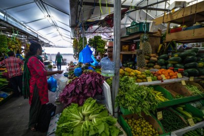 ފަތުގެ ބާވަތްތަކުގެ އަގުތައް އެއްވަރެއްގައި ހިފެހެއްޓިފައި