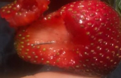 ސްޓްރޯބެރީއަށް ތިނޯސްލުން، ޓެރަރިޒަމާ އެއްވަރު: ބޮޑު ވަޒީރު