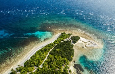 ޕީޕީއެމްގެ މެނިފެސްޓޯ: ރާއްޖޭގެ ދެކޮޅުގައި ދެ "މާލެ"
