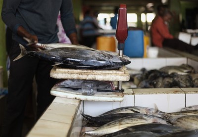 ވައިގެ މަގުން ބޭރުކުރާ ހިކިކަނޑުމަހާއި ފިނިކުރި މަހުގެ ޑިސްކައުންޓް ރޭޓް އުވާލަނީ