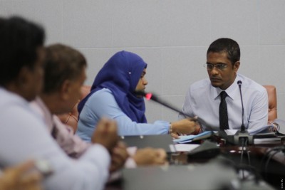 ޓާޓާ އާއި ސަރުކާރާ ދެމެދު ހަދާފައިވާ އެއްބަސްވުން މާލިއްޔަތު ކޮމެޓީއަށް