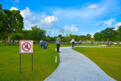 ސެންޓްރަލް ޕާކަށް ހިލޭ ވައިފައި ދޭން ފަށައިފި