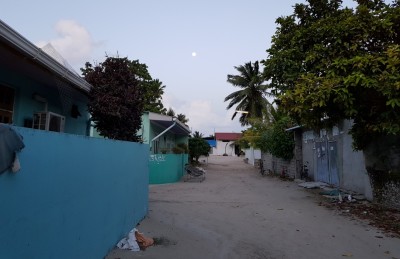 ކެންދޫ ކައުންސިލްގެ ތިޖޫރި ވަގަށް ނަގައިފި