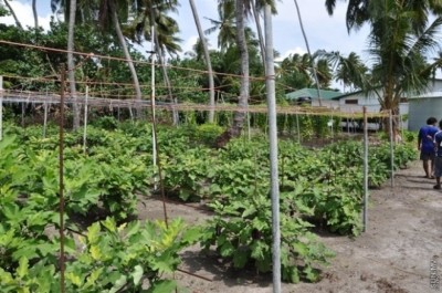 ގއ. އަތޮޅުގެ 32 ފަޅު ރަށެއް ވަރުވާއަށް ދޫކުރަން ނިންމައިފި