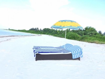 ރީތި މޫދެއް ނެތުމުގެ ގޮންޖެހުން ޓޫރިޒަމަށް!