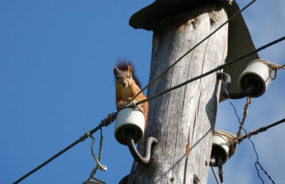 މުގޮށި މީދަލެއް އެތައް ހާސް ބަޔަކު ހުއްޓުމަކަށް ގެނެސްފި