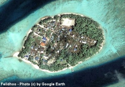 މޫދުގެ ބޮޑު ސަރަހައްދެއް ބެލިއިރުވެސް ދުވަސްވީ މީހާ ނުފެނޭ