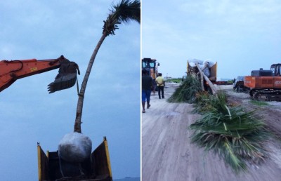 ރުއްގަސް ނެގުން މެކުހަށް! އެންމެ ފަހުން ބޭރަށް ވެސް ގެންދަނީ؟