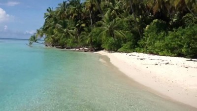 ހަސަންޅަކޮއެ ހޯދުން ރަސްމީކޮށް ހުއްޓާލިއިރު އާއިލާއިން އަދިވެސް އެމަސައްކަތުގައި