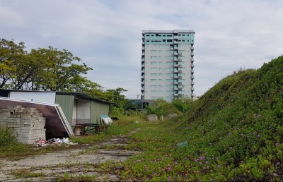 އަންމަޓީ އާއި ސީ ލައިފް: މަކަރާއި ހީލަތުގެ ތެރޭގައި!