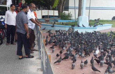 ޖަލުގައި އިމްރާންގެ ބައިވެރިން: 19 ކޮތަރު!