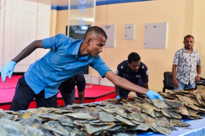 ބުރުންޏާއި މާލޭގެ ގެއަކުން ގިނަ އަދަދެއްގެ ކަހަނބުފަތް އަތުލައިގެންފި