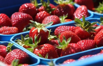 ނިއު ޒީލެންޑުގެ ސުޕަމާކެޓެއްގެ ސްޓްރޯބެރީން ތިނޯސް ފެނިއްޖެ