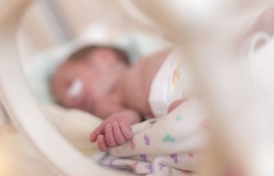 ވިހަންދެން ކުރީ އިންކާރު، ފެނުނީ ވިހައިގެން އޮއްވާ!