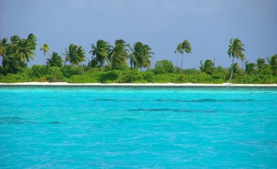 ޝަރީފް މަރުވީ ގެނބިގެން، އޭނާ ދިޔައީ ދަނޑިއެއް ކަނޑަން