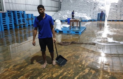 ކާޑުގެ ބާވަތްތައް ރައްކާތެރި ކުރެވުނު: އަމްރު