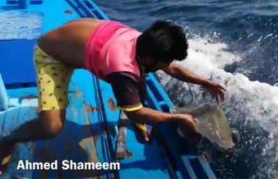 ވެލާ ސަލާމަތް ކުރާ ކޯޓު އޮފިސަރު