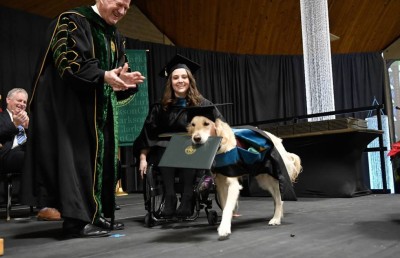 އެހީތެރިވާ ކުއްތާއަކަށް އޮނަރަރީ ޑިޕްލޮމާއެއް