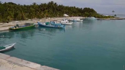 ޑިންގީއެއް ދަތުރުކުރަމުން ދަނިކޮށް އިންޖީނެއް ގޮވައި މީހެއްގެ ބަނޑު ކަފައިގެން ގޮސްފި