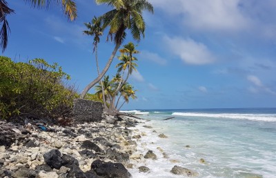 ރުއްގަސް މަދުވުމުން ކަންބޮޑުވާން ޖެހެނީ ކީއްވެ؟