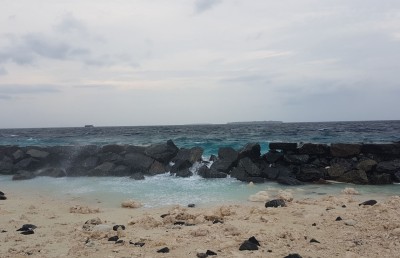 ރުއްގަސް މަދުވުމުން ކަންބޮޑުވާން ޖެހެނީ ކީއްވެ؟