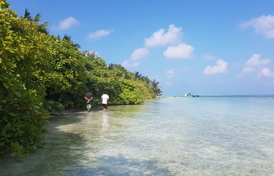 ރުއްގަސް މަދުވުމުން ކަންބޮޑުވާން ޖެހެނީ ކީއްވެ؟