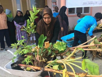 ކާނާ ލިބޭ ގަސްތައް ގޭގޭގައި އިންދުމަށް ދަނޑުވެރިކަމާ ބެހޭ ވުޒާރާއިން ނުކުމެއްޖެ