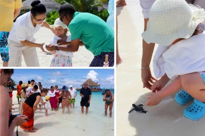 ވިލު ރީފުގައި އުފަންވި ވެލާތަކެއް މޫދަށް ދޫކޮށްފި