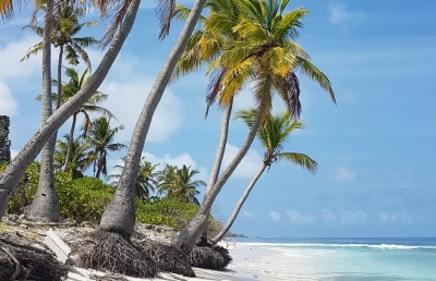 ރުއްގަސް މަދުވުމުން ކަންބޮޑުވާން ޖެހެނީ ކީއްވެ؟