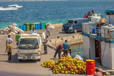 ނޯތު ހާބަރަށް ސައިކަލް ވަދެވޭގޮތް، ވެހިކަލް ވަންނަ ކޮންމެ ފަހަރަކު ފީނަގަނީ