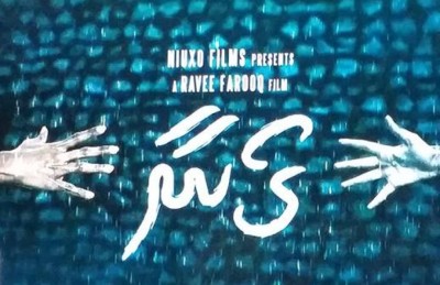 ދިވެހި ސިނަމާގެ ސުރުހީތައް