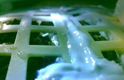 ޗައިނާ އިން ހަނދުގައި އިންދި އޮށުން ގަސް ފަޅައިފި