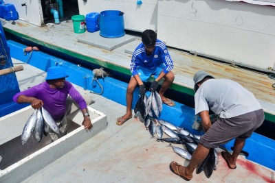 ލޭނު މަސްވެރިކަމަށް ތަމްރީން ކުރުމުގެ ޕްރޮގްރާމެއް ބާއްވަނީ