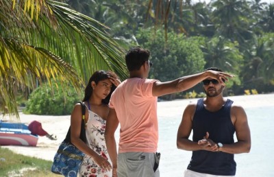 ދިވެހި ސިނަމާގެ ސުރުހީތައް