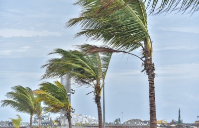 ފުވައްމުލަކާއި އައްޑުއަށް ޔެލޯ އެލާޓް ނެރެފި