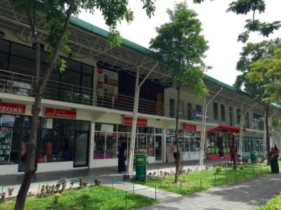 ހުޅުމާލެ ފިހާރަބަރިން ފުންމާލި ކުއްޖާގެ ކަށިތައް ބިނދިފައި