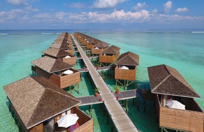 ސަފާރީއެއްގައި އެއްޗެއް ގޮވައި ދެމީހަކު ވަަރަށް ބޮޑަށް ފިހިއްޖެ