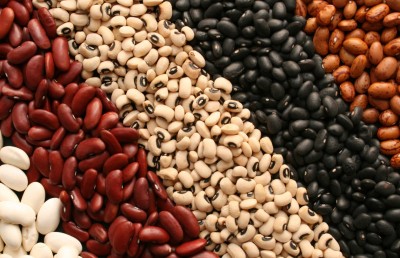 އިސްތަށިގަނޑު ވަރުގަދަކުރަން މި ކާނާތައް މުހިންމު